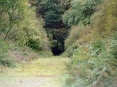 Looking south from Ashby Magna station.