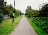 Looking North