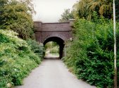 Looking West