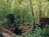 A drainage culvert near Bridge 411