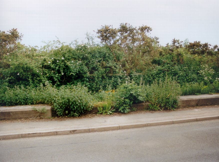 Ashby Magna station entrance