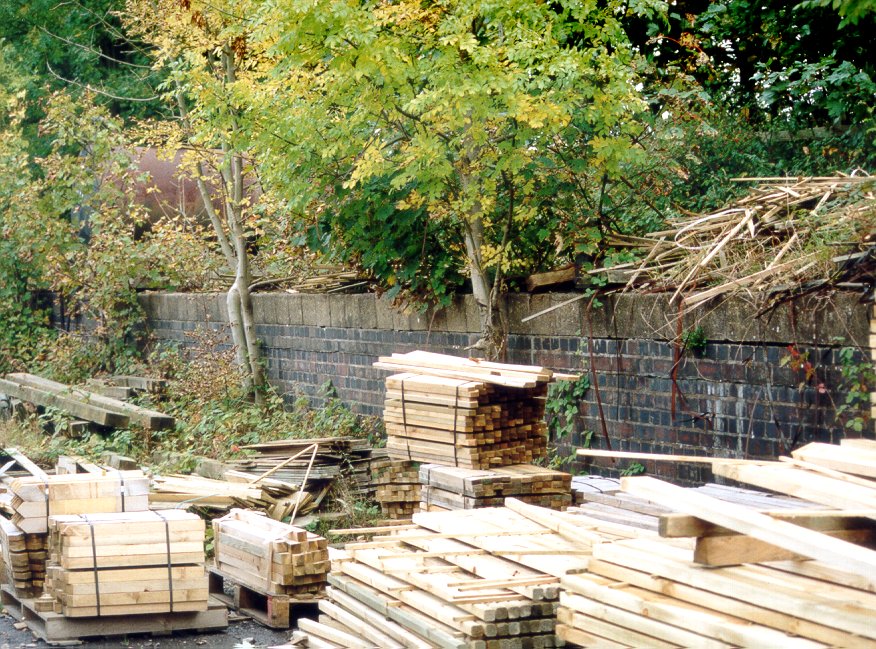 Ashby Magna goods yard cattle dock