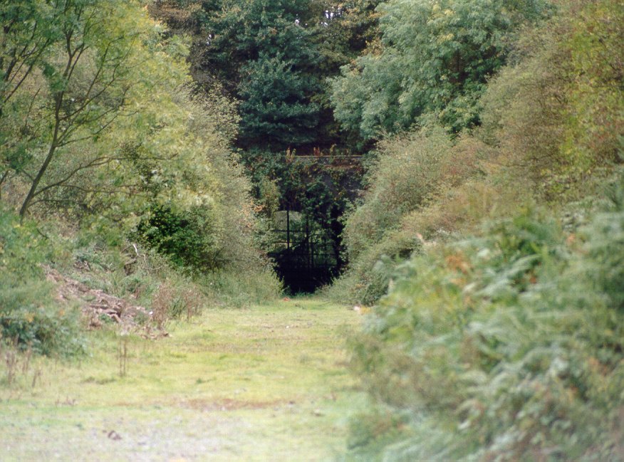 Ashby Magna station looking south.