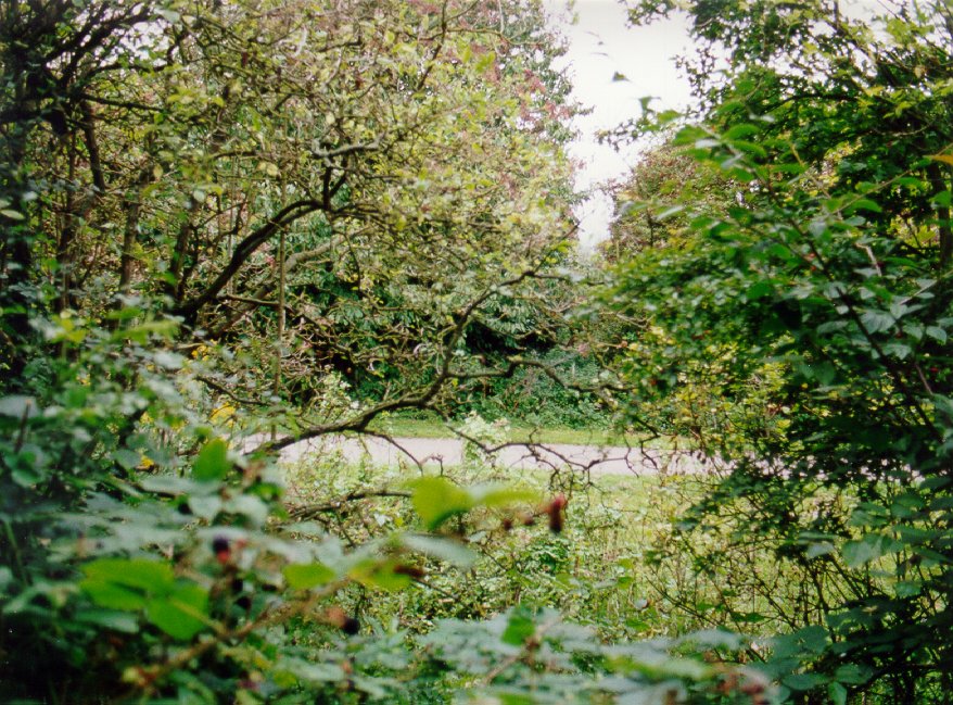 Bridge 383