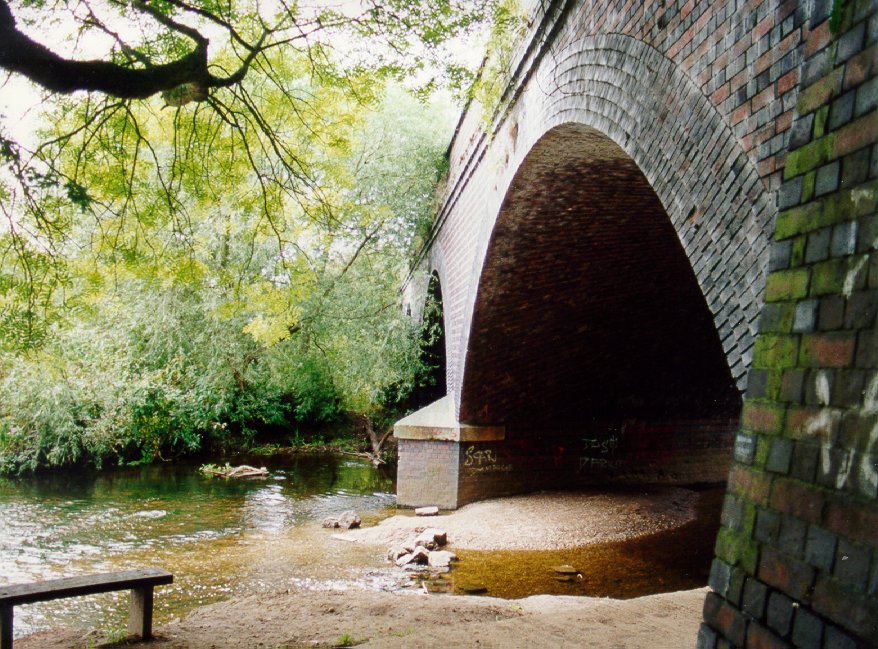 Bridge 384