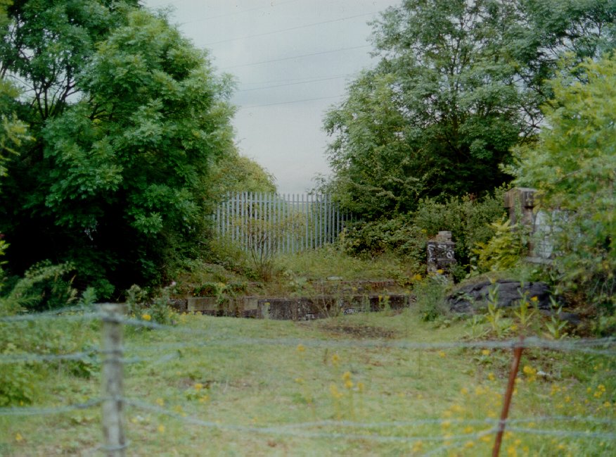 Bridge 393