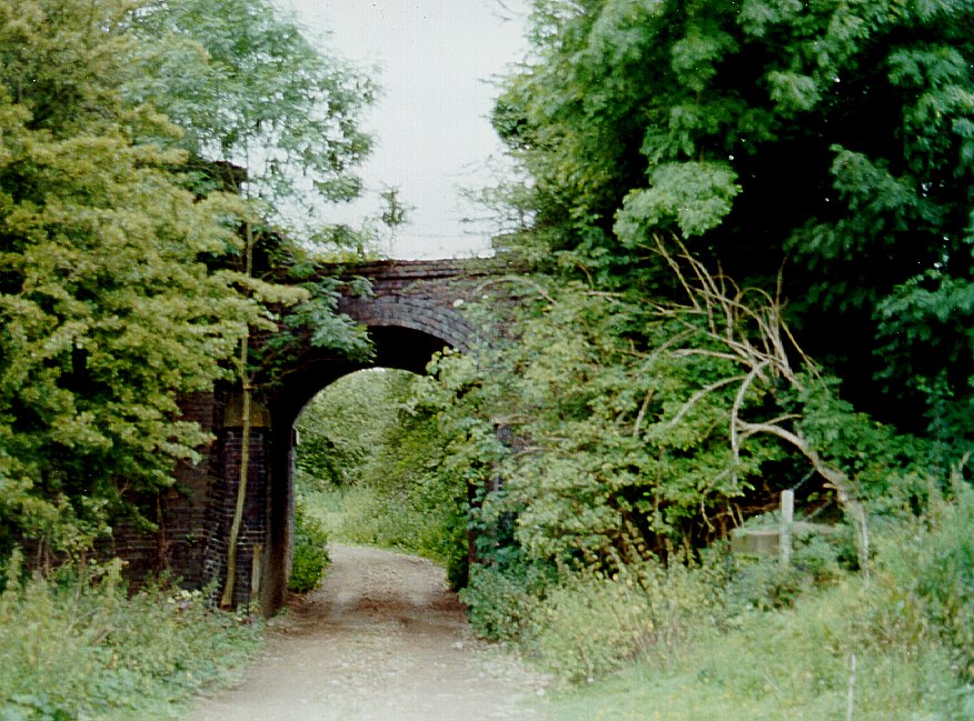 Bridge 403
