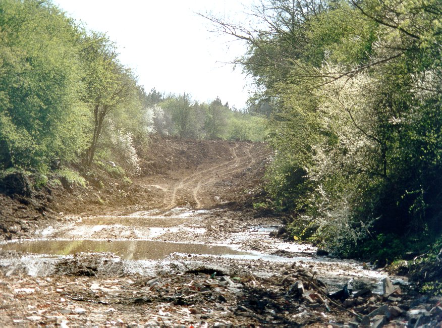 Looking south from Bridge 409