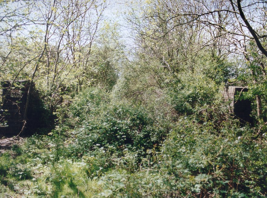 Bridge 415 looking south.