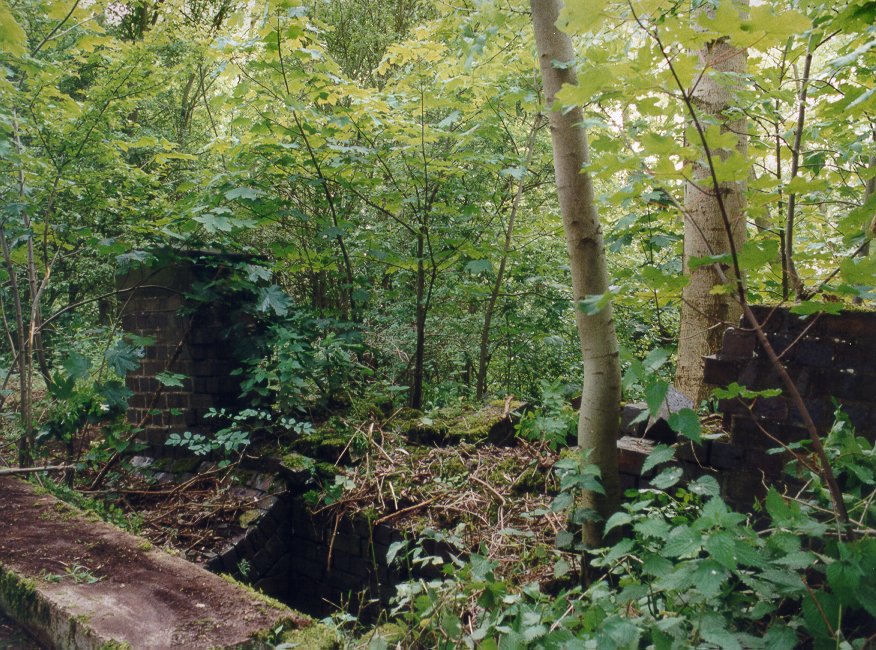 Drainage culvert near Bridge 411